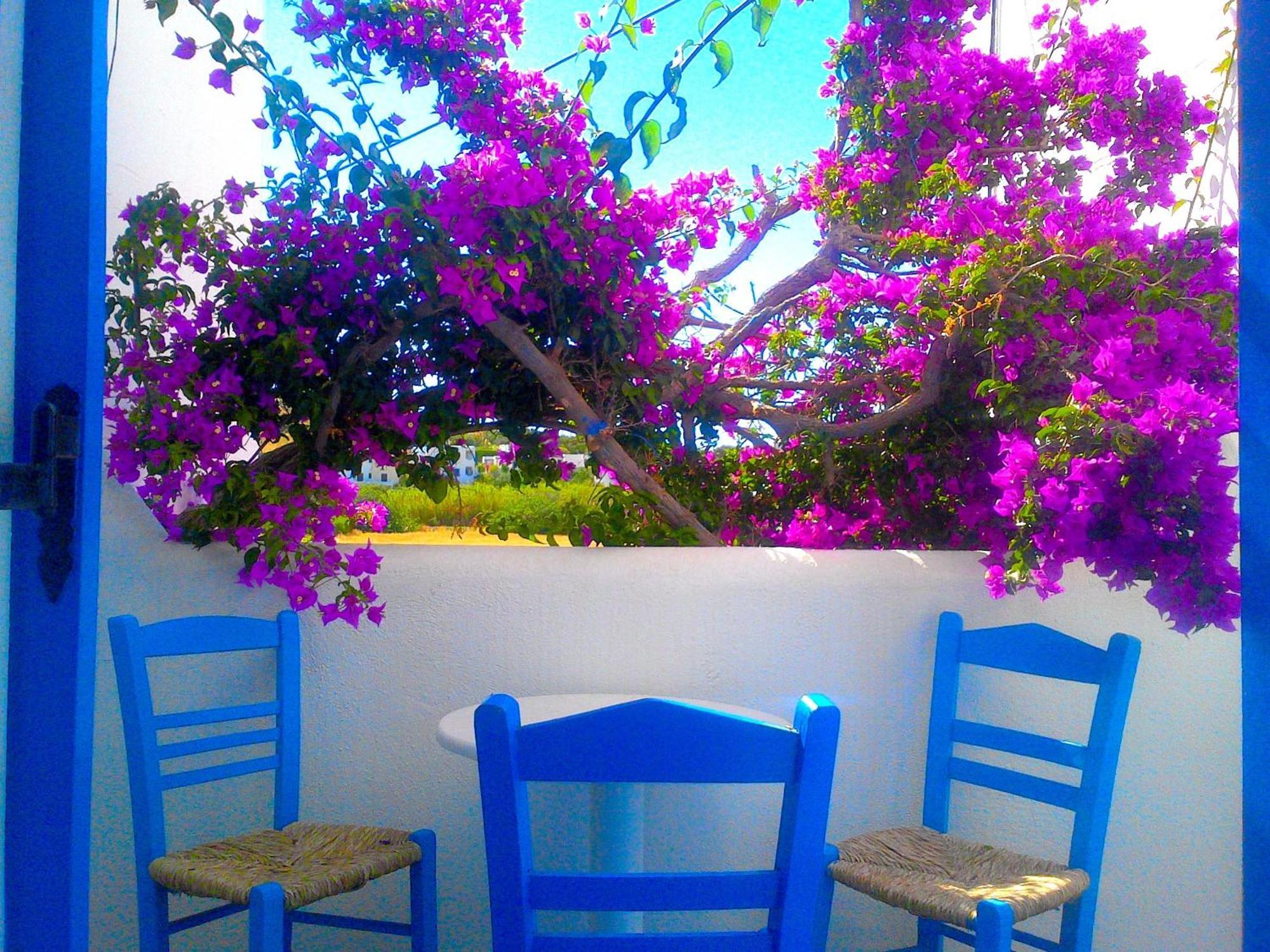Pelagos Studios Páros Buitenkant foto
